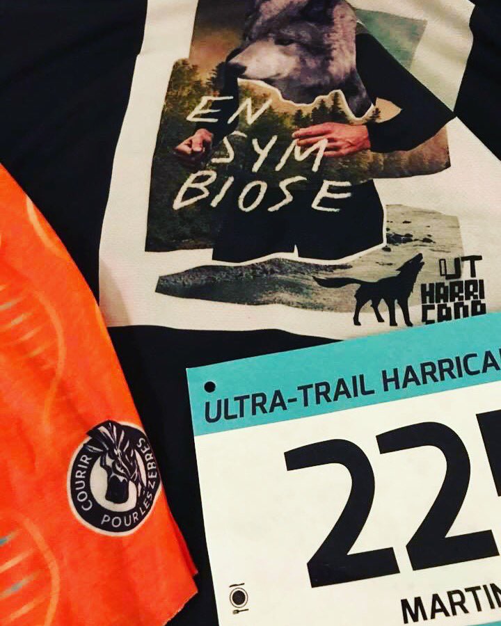 Cplz7K's tweet photo. Des ZÈBRES parmi les loups? Ouiii 😃!! Des membres et bénévoles de @Cplz7K seront @EvHarricana Surveillez les foulards #cplz #cause #trailrun https://t.co/p1i4rd7KsI