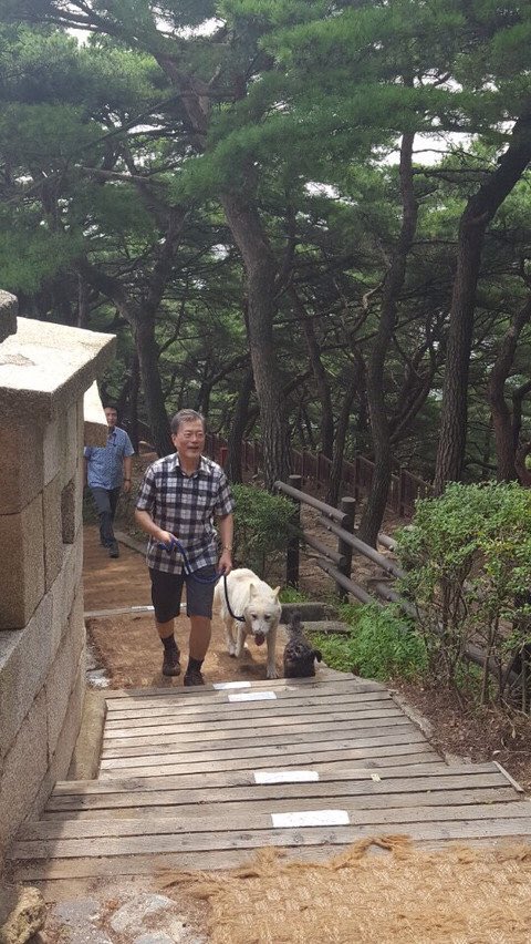 moonlove9804's tweet photo. 마루와 토리
오늘 북한산에 문대통령과 함께
등산중..😙😙😙😙😙🐕🐕 https://t.co/lZTrdLBg4H