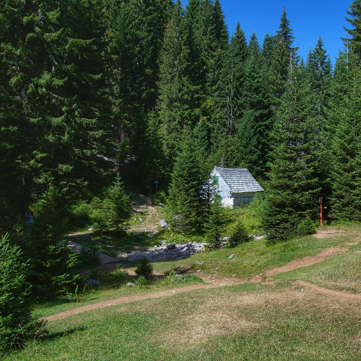 Mustafa Savas A Cabin In The Woods Near Black Lake Zabljak Montenegro Blacklake Crnojezero