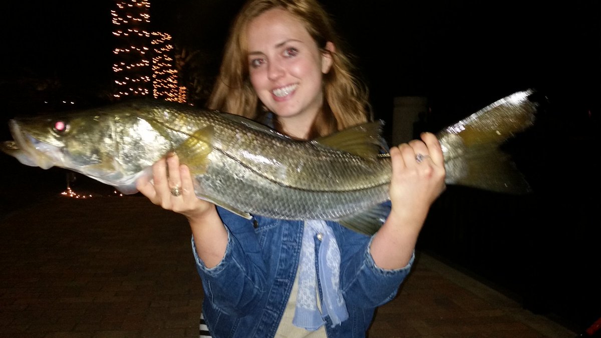 Holly Morgan tweet media