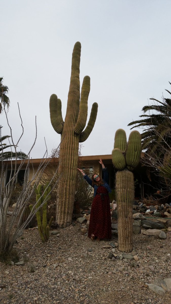 Holly Morgan tweet media