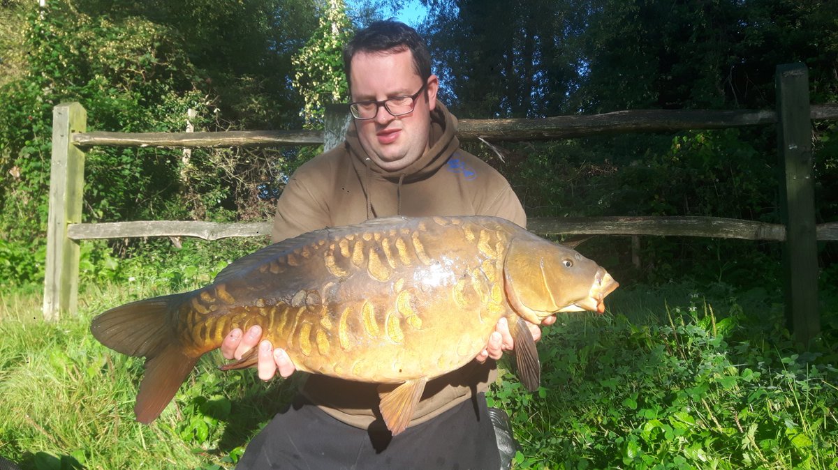 The pretty one thanks to @Waynehiggins6 for these stunning pictures