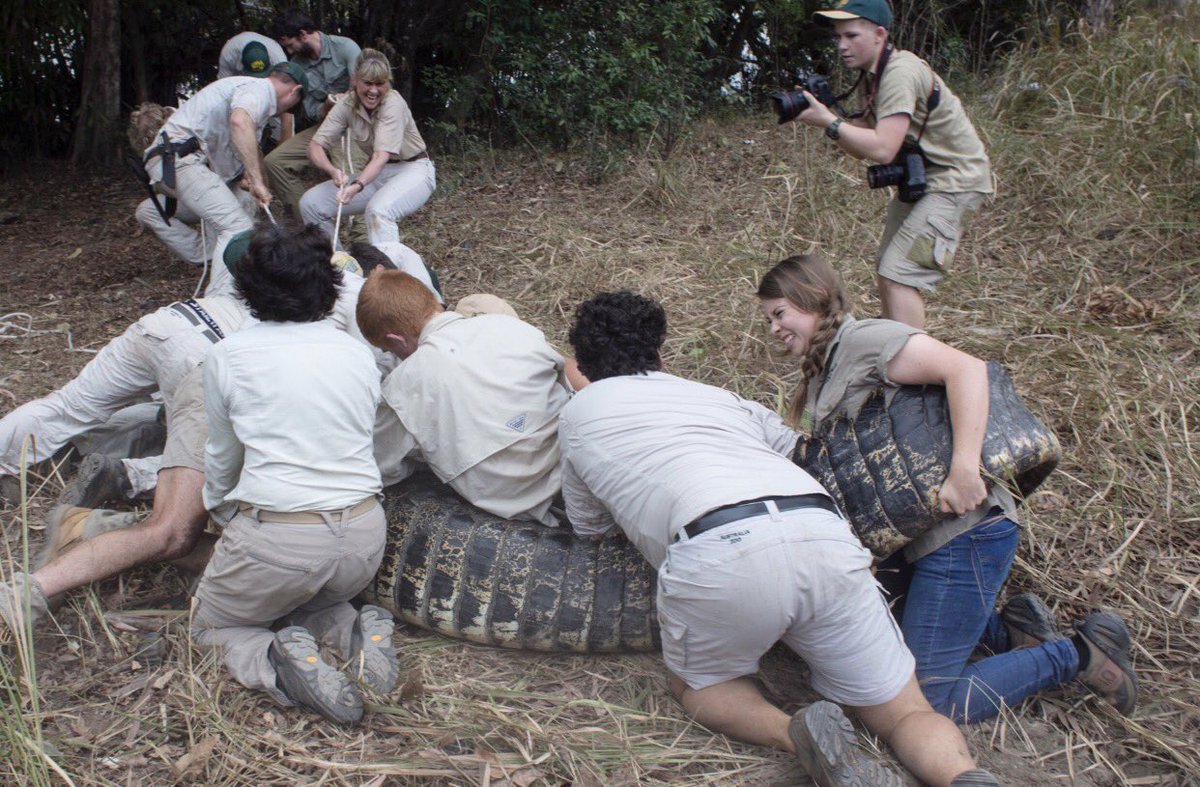TerriIrwin's tweet photo. Look closely @BindiIrwin 's face &amp; mine. Seems that if you need to release a crocodile near the water, enlist Irwin women to help move it! https://t.co/5jWLN0QPnv
