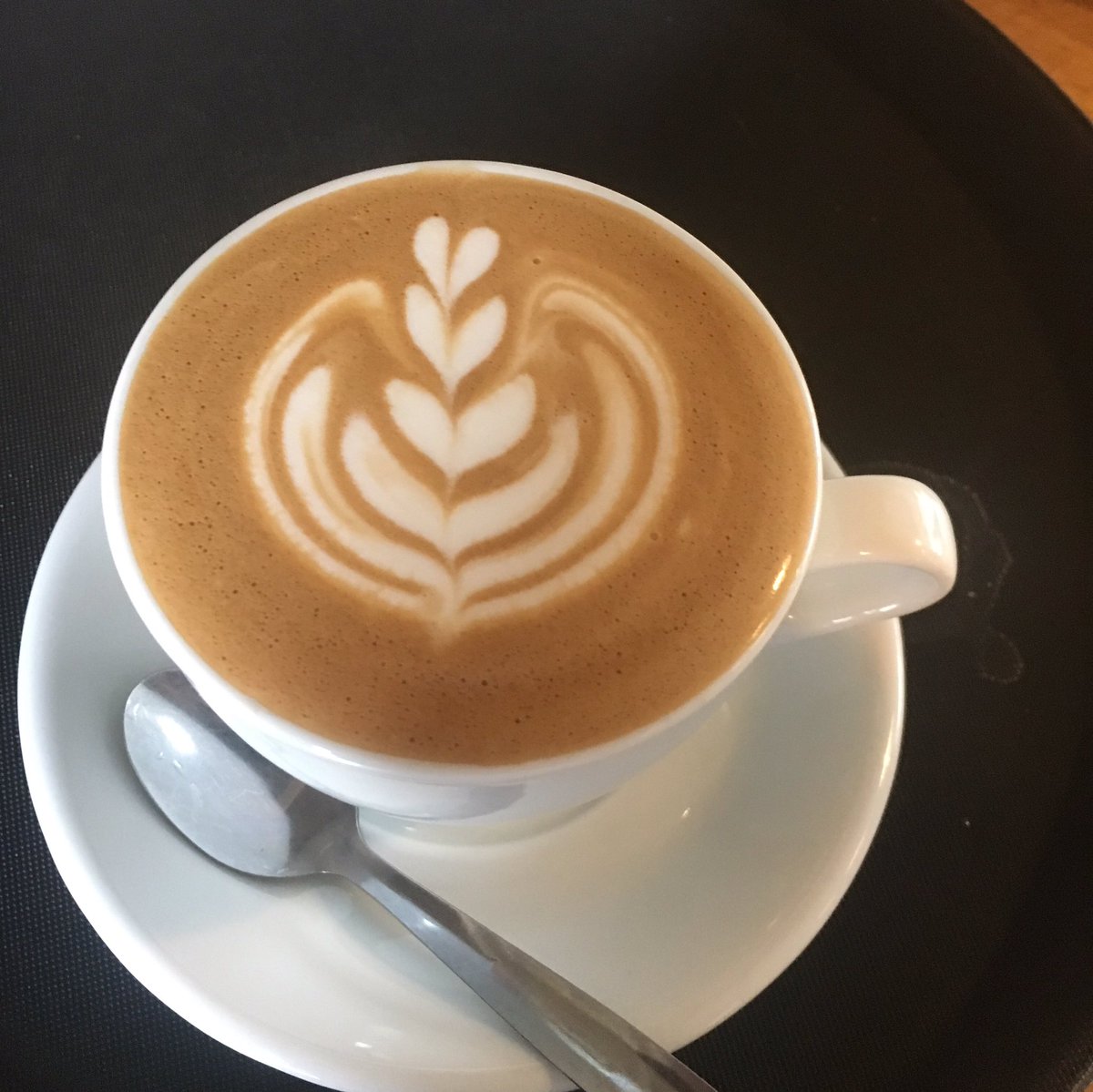 Providero's tweet photo. Happy Weekend folks! Today #littleprov is Open until 5pm, #bigprov in #Llandudno Open until 6pm. Have a great day! https://t.co/7VVfKme0QF