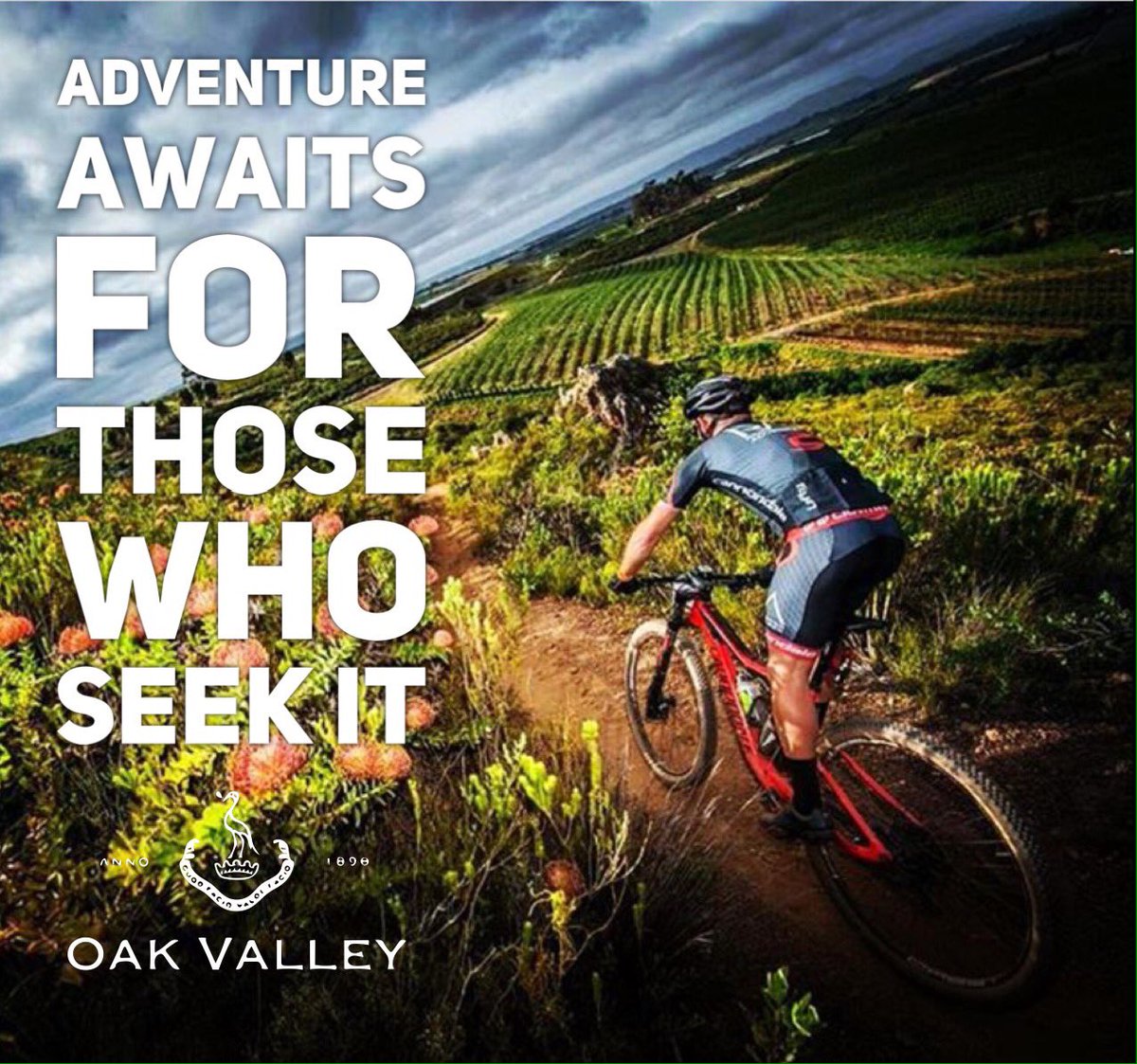 oak valley mtb trails