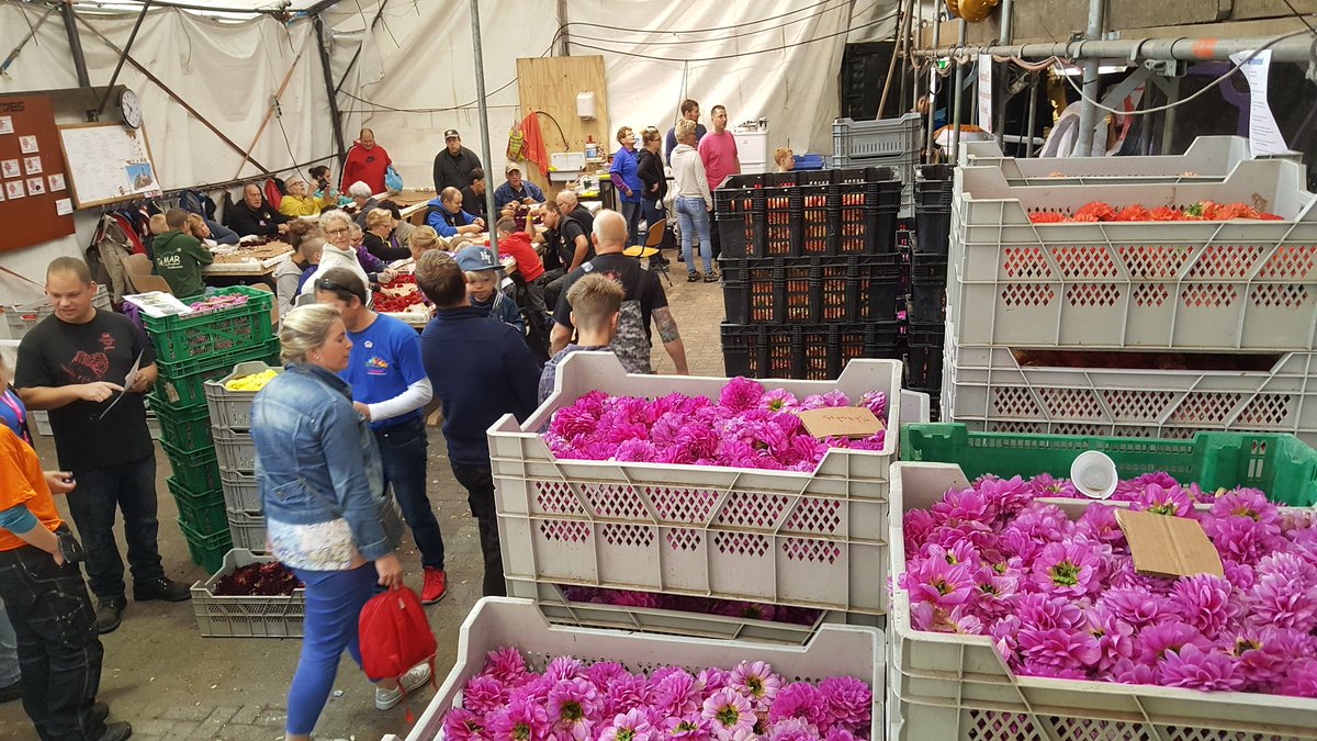 BC_Valkenswaard's tweet photo. Gefeliciteerd @Wilhelmina_Vwrd en @bsleenderweg met jullie 65 jarig jubileum! #corsovwaard #Efteling #corso2017 https://t.co/5ve6lbtRfP