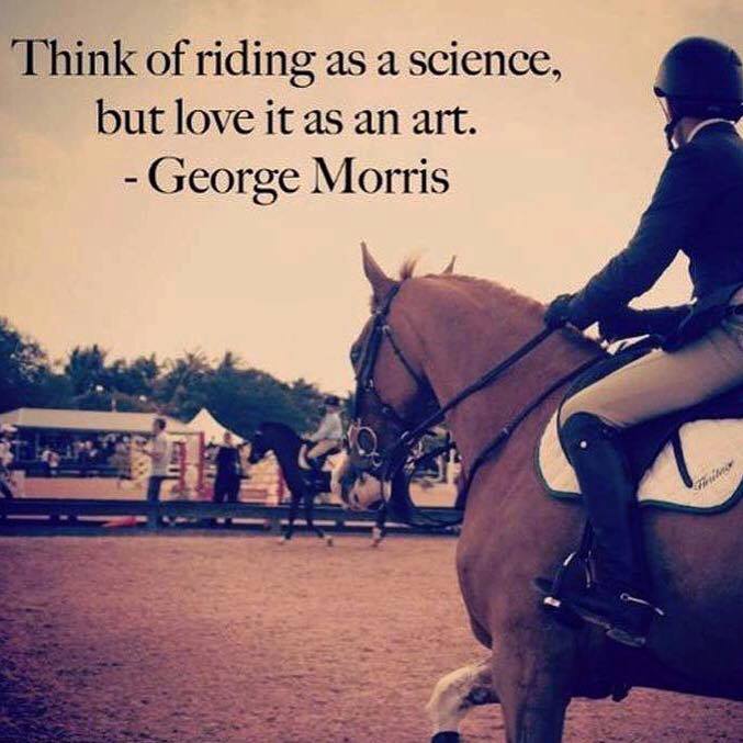 equineman01's tweet photo. We loved this so just had to share! We hope it made you smile. Have a fabulous weekend with your horses everyone. https://t.co/QTU5afhr65