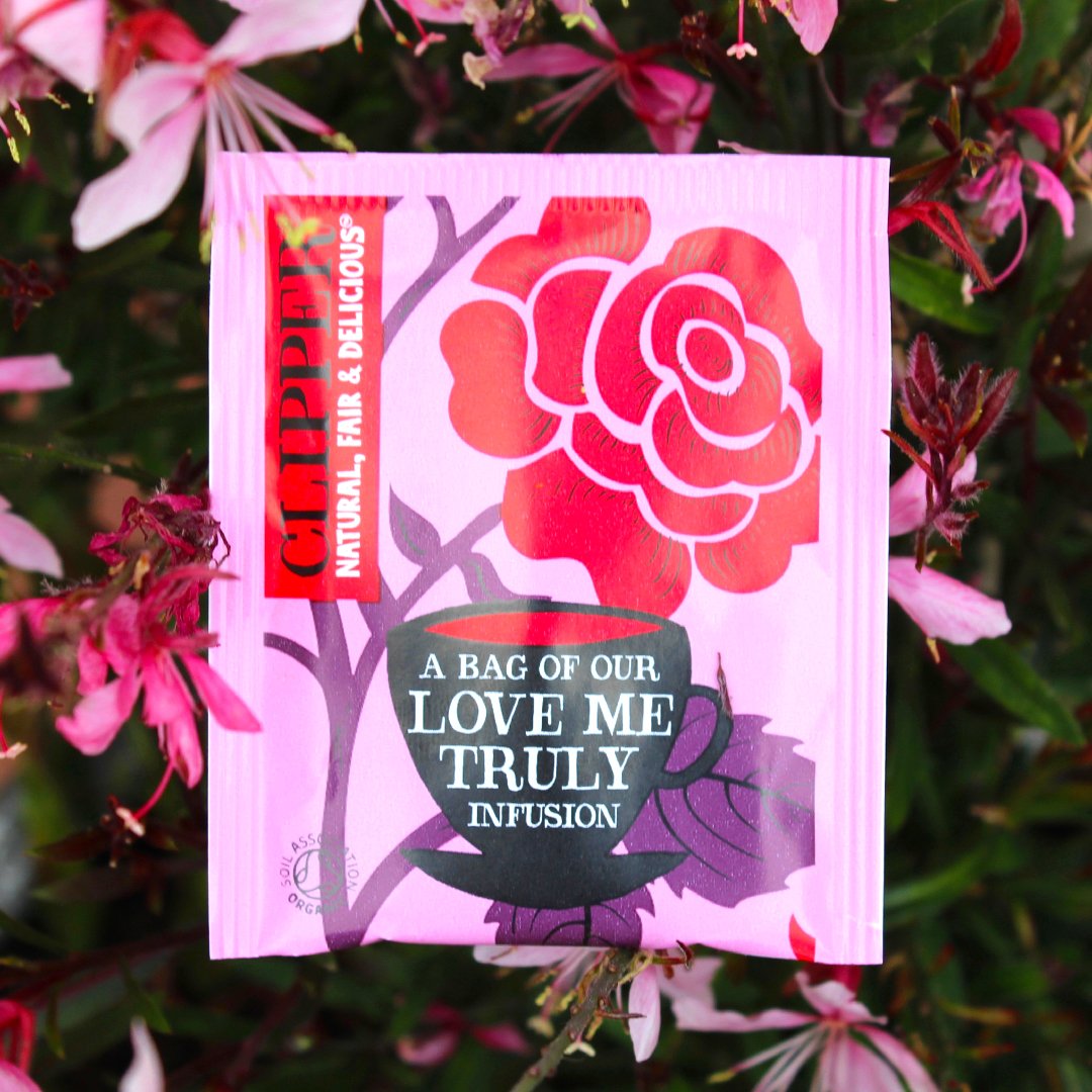 clipperteas's tweet photo. Soothing yet uplifting, our Love Me Truly Chai Infusion is like a hug in a mug. 🤗 https://t.co/wfRmloexPt