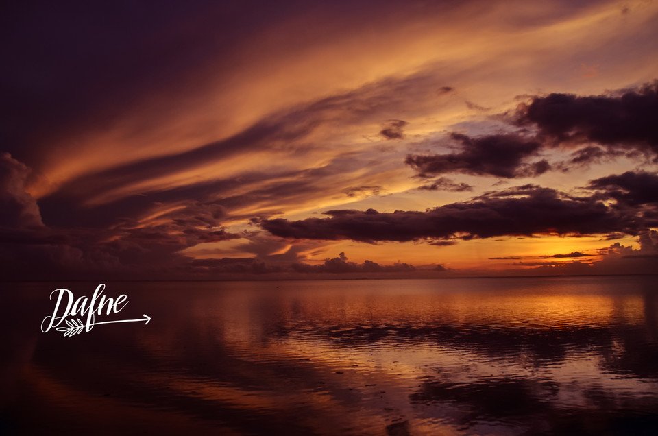 WeAreDafne's tweet image. You are beautiful. Know this. Anyone who tells you otherwise is simply lying. You are beautiful.

photo: Xavier Coiffic