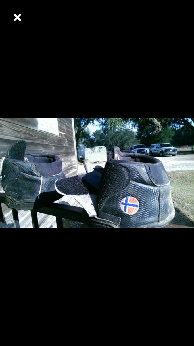 catsevents's tweet photo. #EquineFusion #ComfortHoofs 
#nometal #flexiblesole 
#joggingshoe
#Yourhorsescomfortisourbusiness https://t.co/IHfogBgJwr