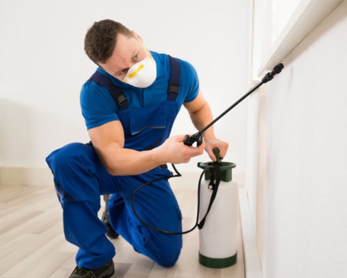 Bestchoice_Ohio's tweet photo. Get relief of #bedbugs & mouse at your place by taking #BedBugExterminators service from top #Pestcontrolcompany. https://t.co/S0fBDVe0jY https://t.co/aaUSPGotg6