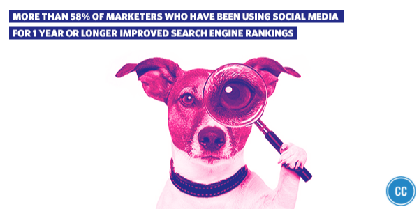 DyausInfotech's tweet photo. Get lost in music or love, not search engine rankings. Join #CreatorCollabs https://t.co/WDlfXBgAtk https://t.co/X4yxhuness