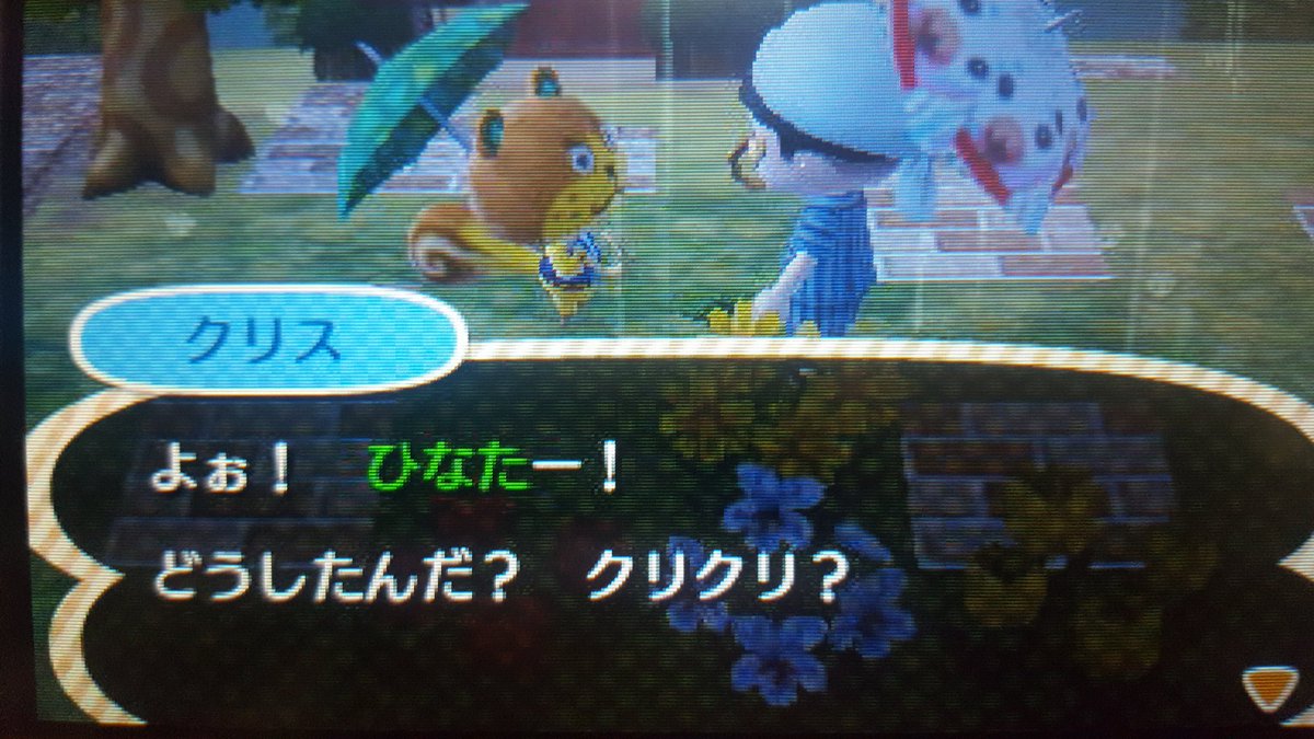 hinataDM's tweet photo. 今日は大雨ですねぇ
新しい住民も来ました♪

ゆきみさん
最近いつも博物館にいるなぁ～ https://t.co/5LkQPFQReA