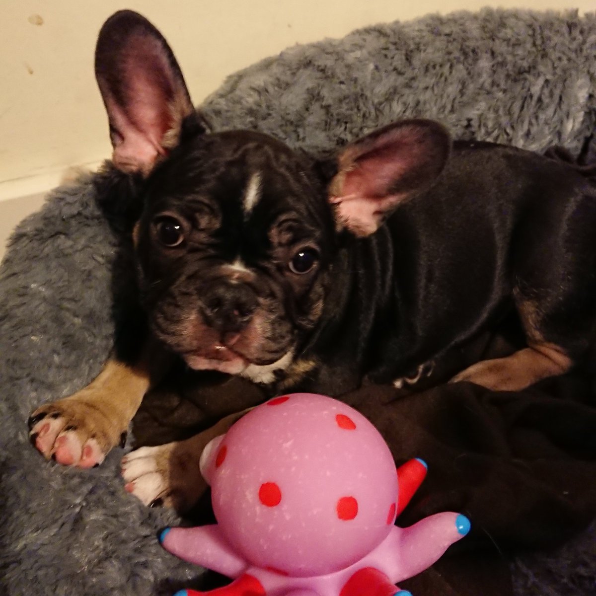 cprmustang's tweet image. Day two and all is going well