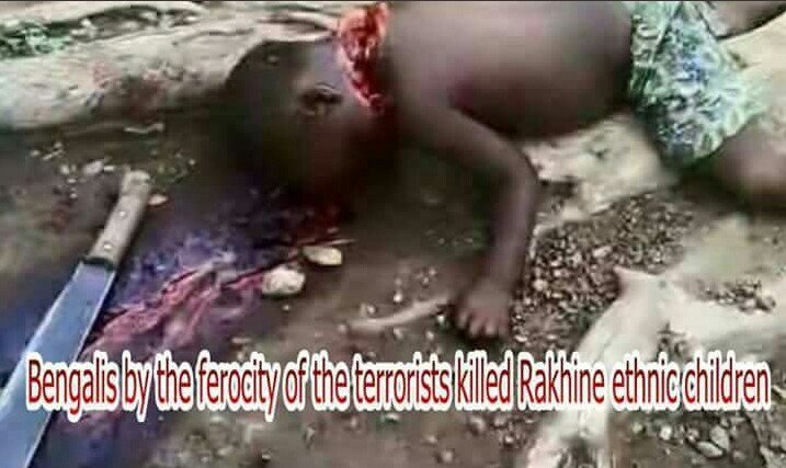 YadanarSoe4's tweet photo. Children Rakhine ethnic 
Bengalis terrorists brutally killed. https://t.co/Dtbw4gdrip