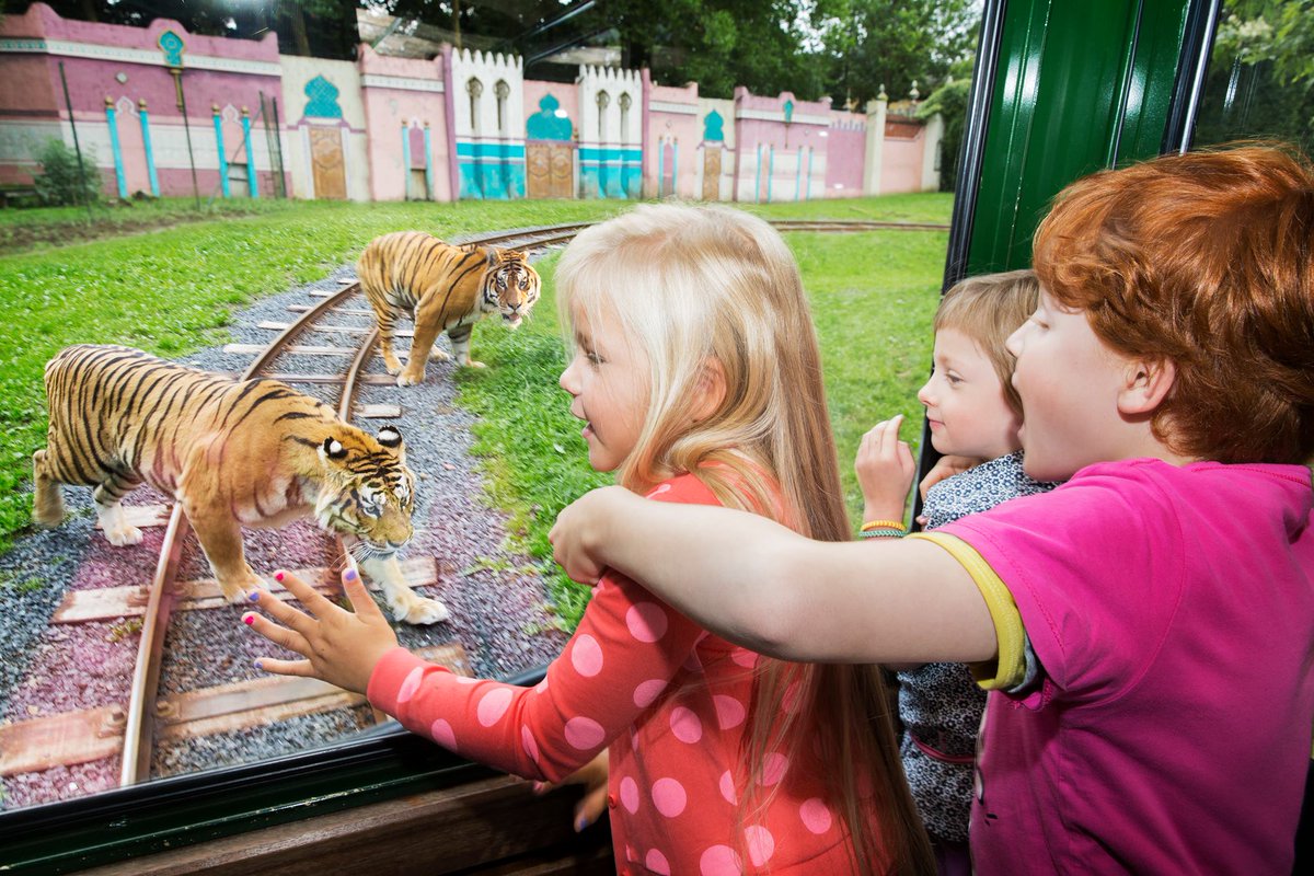 Bellewaerde's tweet photo. Au bord du #BengalExpress, vous apprendrez tout sur les #lions et #tigres de #Bellewaerde ! https://t.co/dtwN5wWMKy