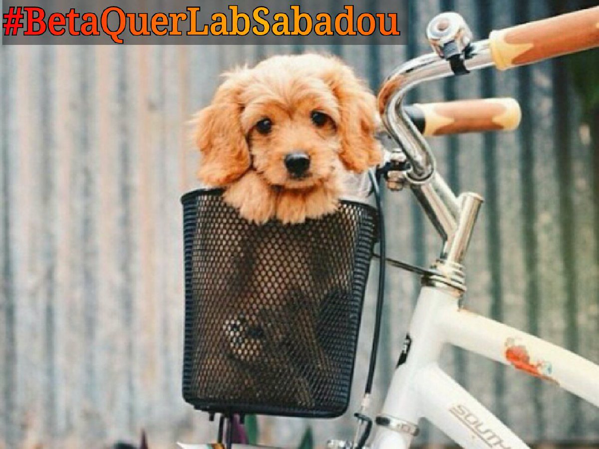 Bom dia a todos! Ótimo sábado 🙏🙏🙏. Aproveitem o final de semana 😉
#BetaQuerLab 
#BetaQuerLabSabadou