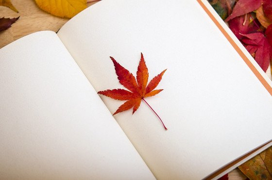 penguinlibros's tweet photo. ¿Leerías este clásico si no supieras qué libro es? https://t.co/98SPotmkDh vía @Lecturalia https://t.co/SiUAdVYlVY