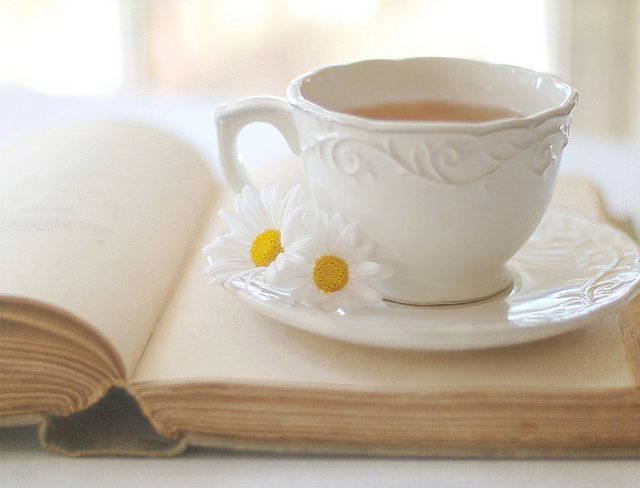 TeajaOffice's tweet photo. How a daily cup of tea may improve your health. 
https://t.co/70Cp9zzXOQ https://t.co/ybxqYIzekE