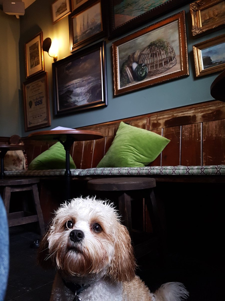BeerHounderGen's tweet photo. Just got so wet on a 3 minute walk that the hair below my right eye has gone curly. Bloody weather. https://t.co/a1xu1xiiyV