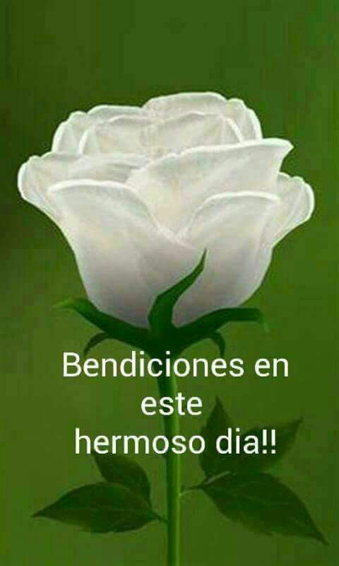 zulimadel's tweet photo. @cala feliz cumpleaños.....bendiciones y mucha salud. Q vengan muchos mas https://t.co/IBCcK89K8q