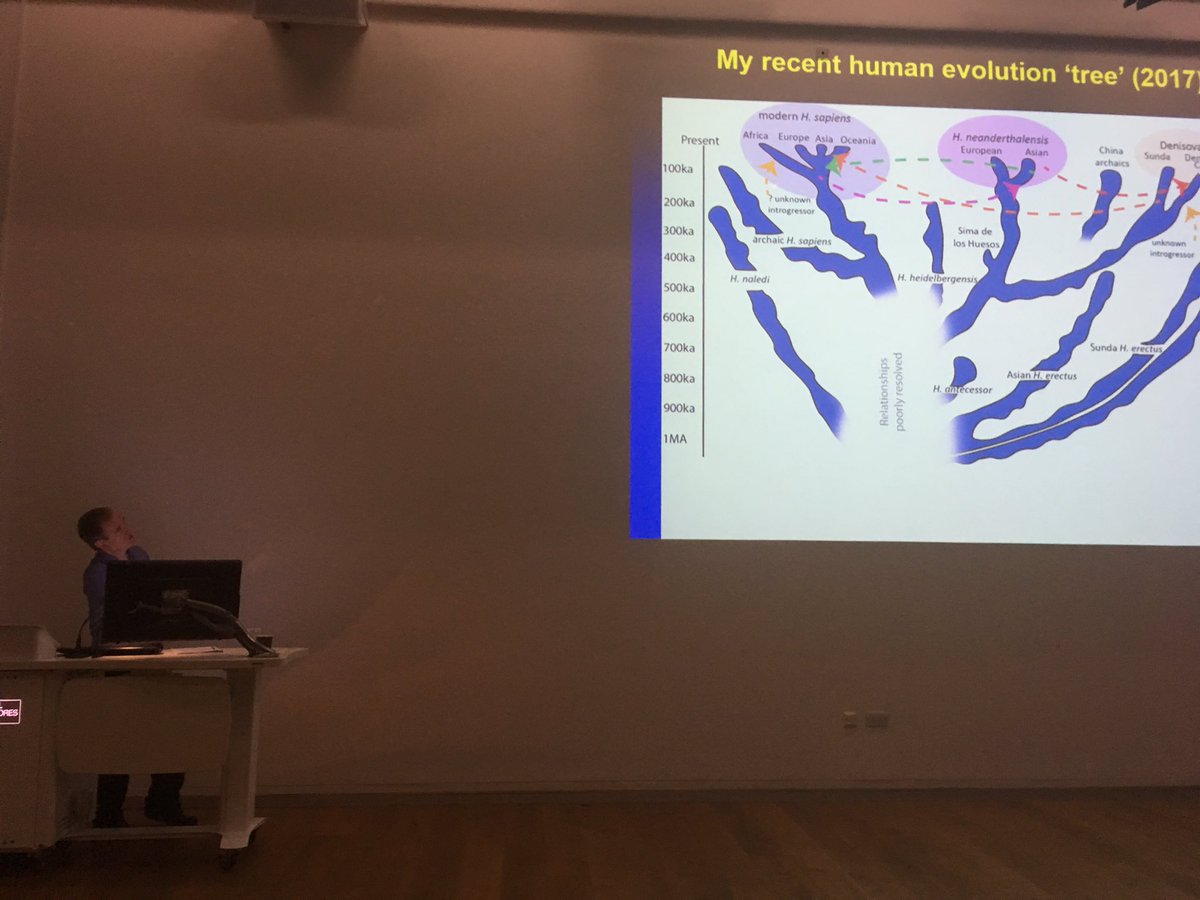 babao2017's tweet photo. Chris Stringer giving his latest view on the last half million years of human evolution at public lecture @babao2017 Being Human Festival https://t.co/6LfLy7KOcr