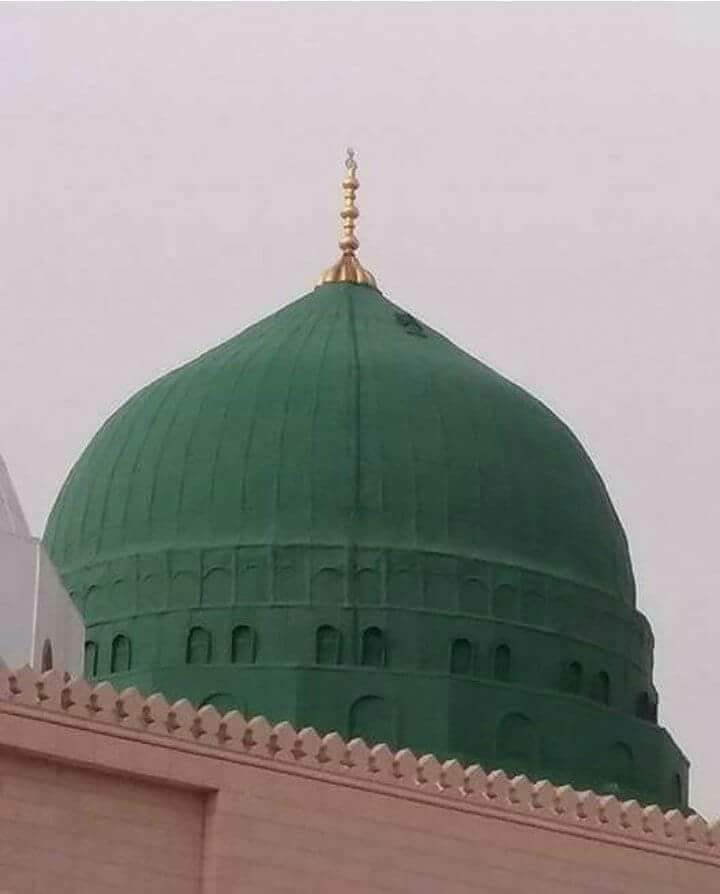 Rana Shafeeq tweet media