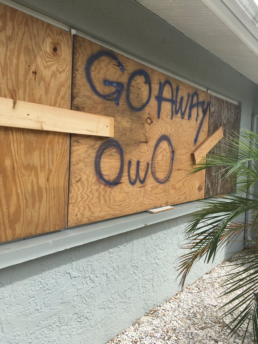 hozierqueer's tweet photo. my dad gave me permission to spray paint the plywood which was his first mistake https://t.co/iF6UvY0gHa
