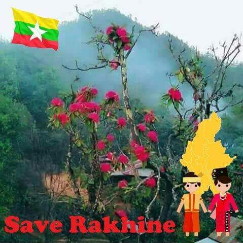 Save Rakhine