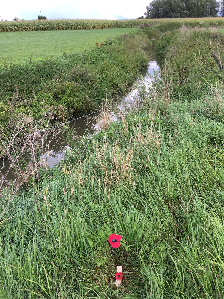 BetteJBaldwin's tweet photo. Thomas Johnstone @hoaroakcottage @5thDorsets.Remembered where he fell. #Steenbeek #Langemarck August 16,1917. Tx to @jamesrb @jbanningww1 https://t.co/ar2pGCv5hc