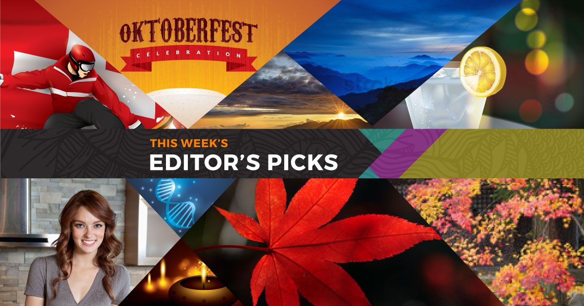 Must have stock content to be added to your collection. We've curated some awesome visuals for you! Download here: bit.ly/2sAK9Ld