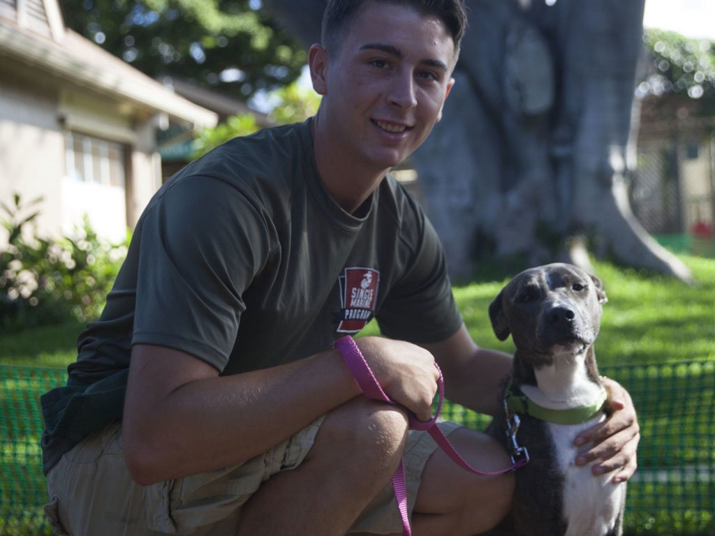 USMarineCorps's tweet photo. Marines volunteered at the Hawaiian @HumaneSociety, one of many SMSP events in which Marines fight to improve the local community @MCBHawaii https://t.co/XK5zeDM3RB
