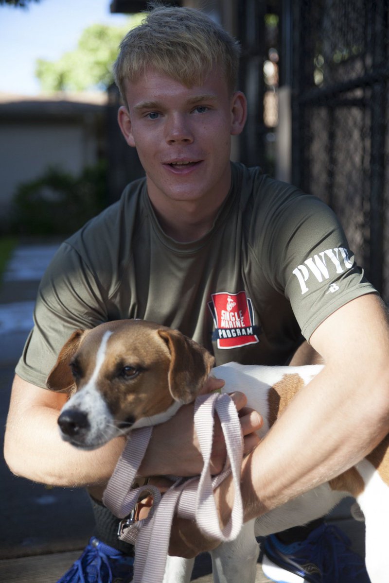 USMarineCorps's tweet photo. Marines volunteered at the Hawaiian @HumaneSociety, one of many SMSP events in which Marines fight to improve the local community @MCBHawaii https://t.co/XK5zeDM3RB