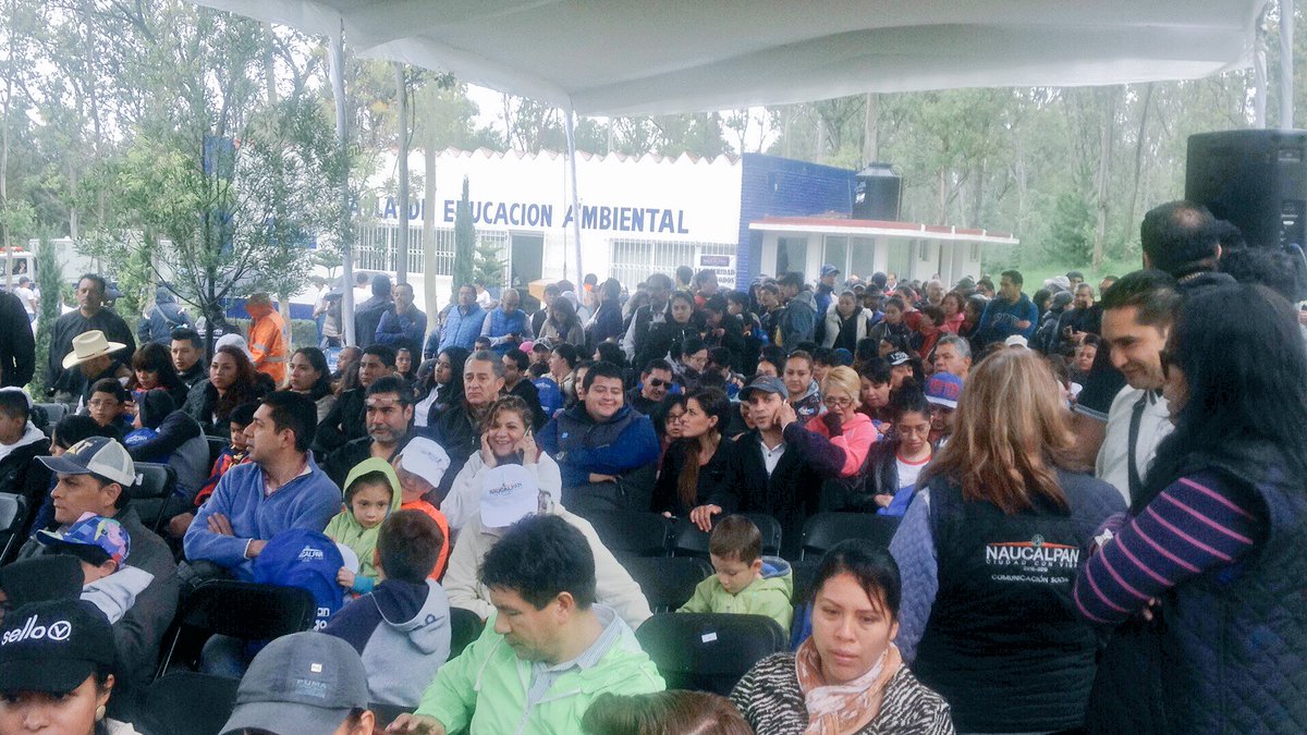 Bosque Unión Europea tweet media