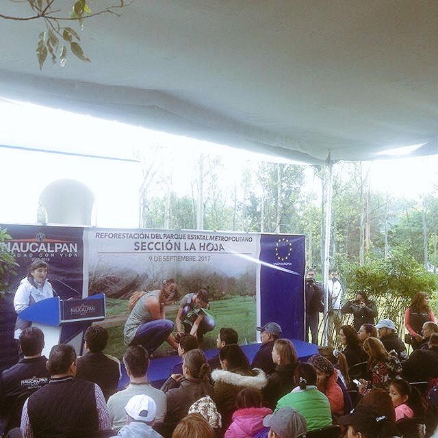 Bosque Unión Europea tweet media