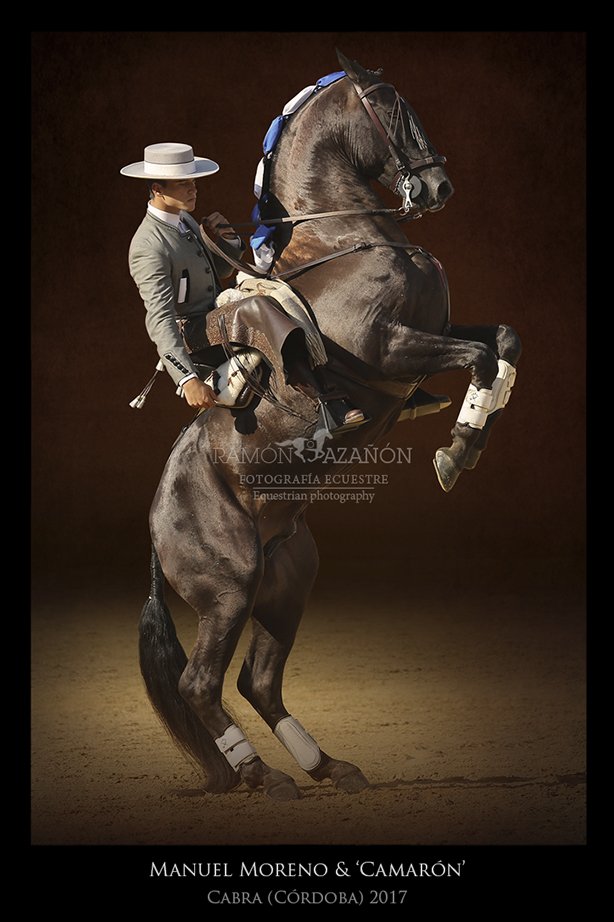 Manuel Moreno con 'Camarón', ayer en la plaza de toros de Cabra (Córdoba) <a href="/PrensaMMoreno/">Prensa Manuel Moreno</a> <a href="/campobravosl/">@campo_bravo</a> <a href="/eromerotpt/">Enrique Romero</a> <a href="/artedelrejoneo_/">EL ARTE DEL REJONEO</a>