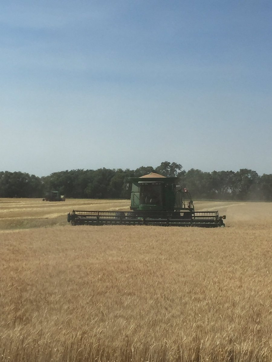 SheldonJEast's tweet photo. Thank goodness for farm wives. And to think Justin wants us to justify their wages. @JasonFrey4 https://t.co/CSv23blIwi