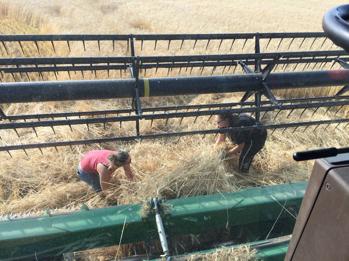 SheldonJEast's tweet photo. Thank goodness for farm wives. And to think Justin wants us to justify their wages. @JasonFrey4 https://t.co/CSv23blIwi