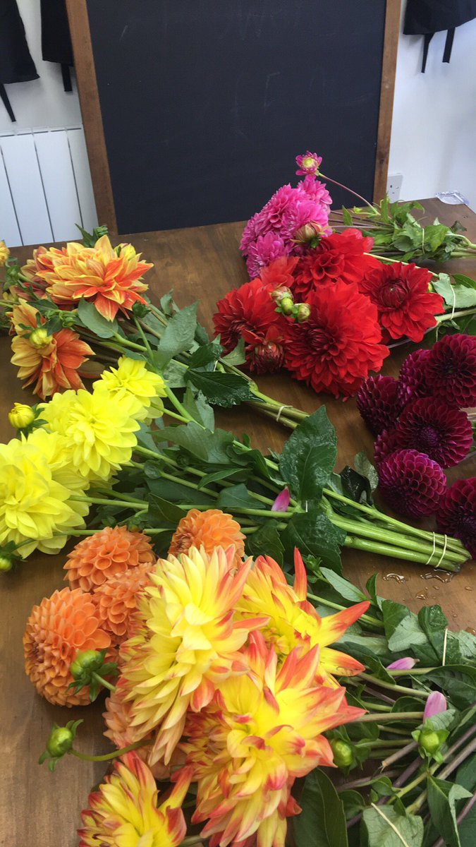 love_blooms's tweet photo. Love Blooms #Dover #Florist #Kent you can't beat a Dahlia ❤️ sold like hot cakes 😁👏🏻 https://t.co/Dqek04yRLg