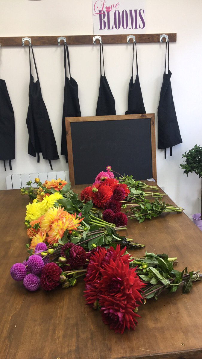 love_blooms's tweet photo. Love Blooms #Dover #Florist #Kent you can't beat a Dahlia ❤️ sold like hot cakes 😁👏🏻 https://t.co/Dqek04yRLg