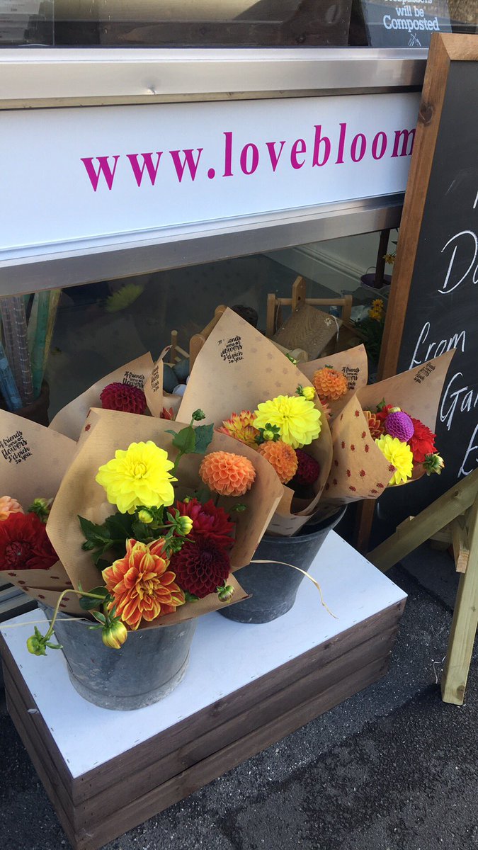 Love Blooms #Dover #Florist #Kent you can't beat a Dahlia ❤️ sold like hot cakes 😁👏🏻