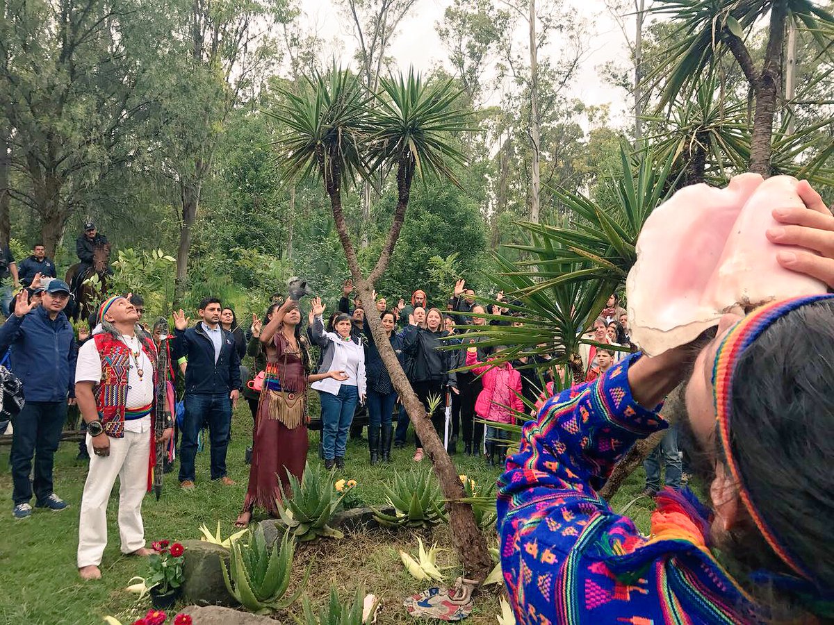 Bosque Unión Europea tweet media