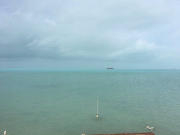 View image on Twitter