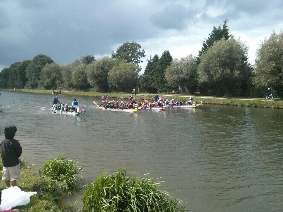 CMRSurgical's tweet photo. The winners of the Cambridge Dragon Boat Festival are...@CMedRobotics! Well done to the Row-Bots! #CambsDragons https://t.co/s1SROqJM5K