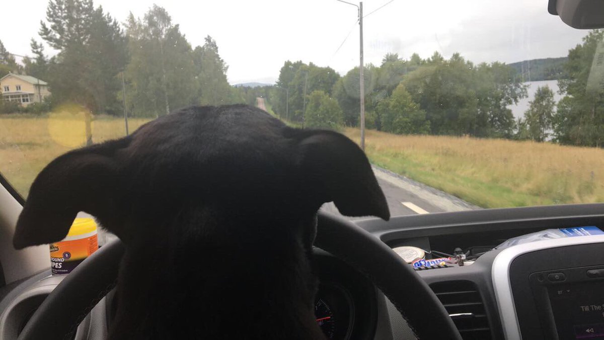 juliamodin's tweet photo. "Crusing down the street in my 64
jockin the bitches, slappin da hoes" 🎵 https://t.co/ehiICVoKWw