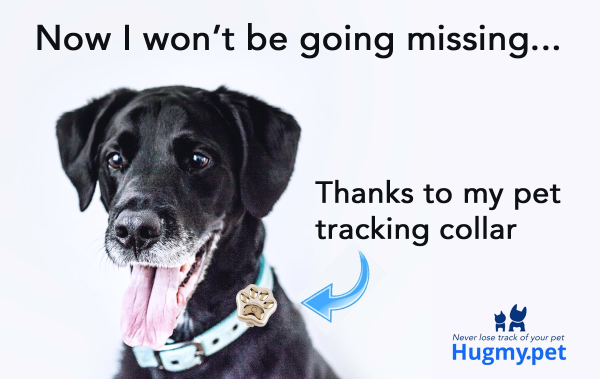 HugMyPet's tweet photo. Love your dog? Never lose track of him or her with #ThePaw GPS Pet Tracking Collar from https://t.co/pf8HSUN2v7 https://t.co/LPkKKeUBbz