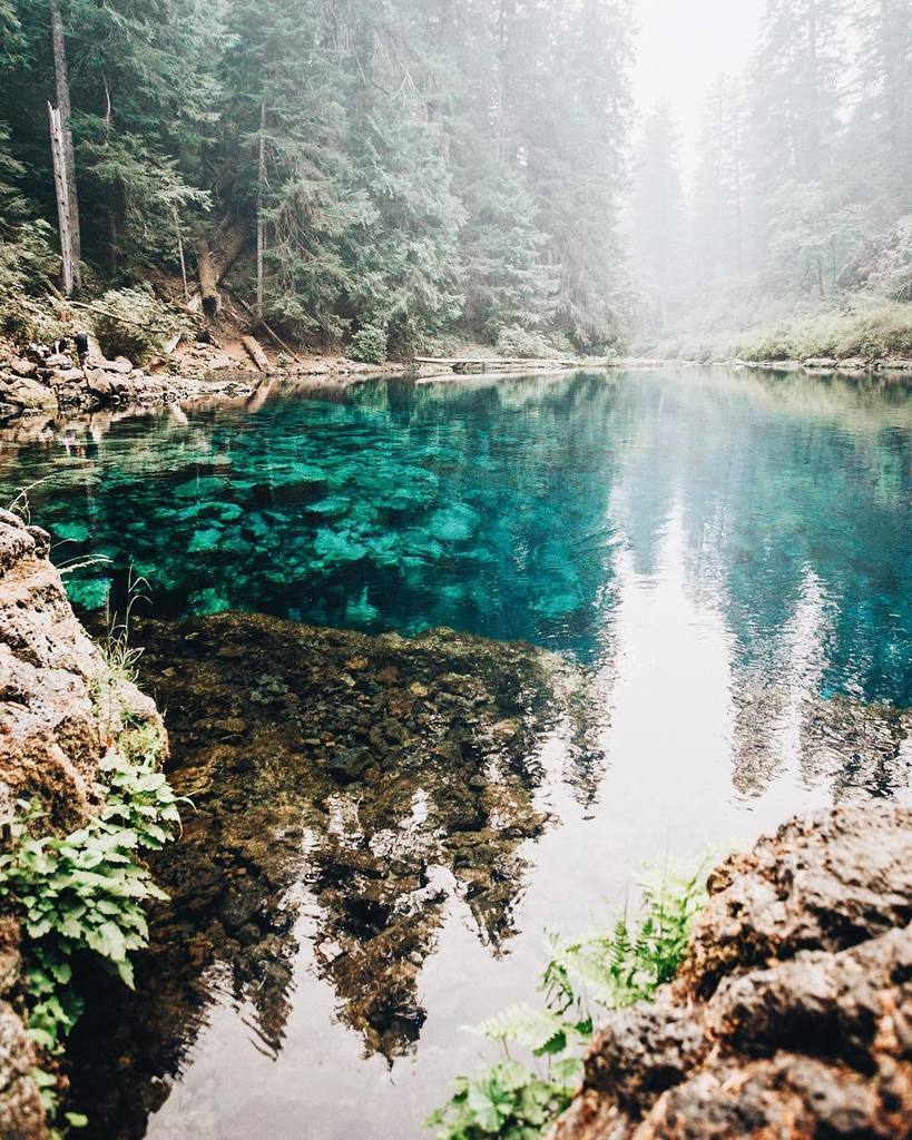 leanneblack_'s tweet photo. Magic of a fairytale setting🌲
-
-
-
#keepitwild  #simplyadventure #wildernessculture #lifeofadventure #liveoutdoor… https://t.co/95e72co28V https://t.co/g1BvWv5rHI
