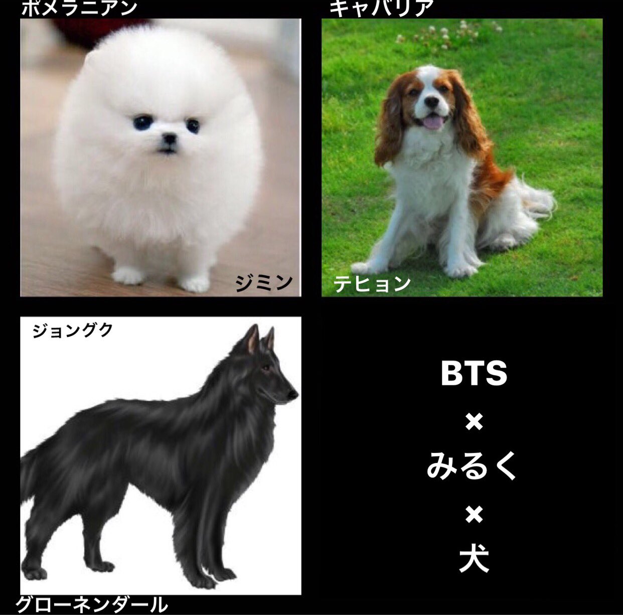 みるく バンタンが犬だったら 笑ってはいけないbts24時 防弾少年団 Btsで妄想 Bts ナムジュン ソクジン ユンギ ホソク ジミン テヒョン ジョングク