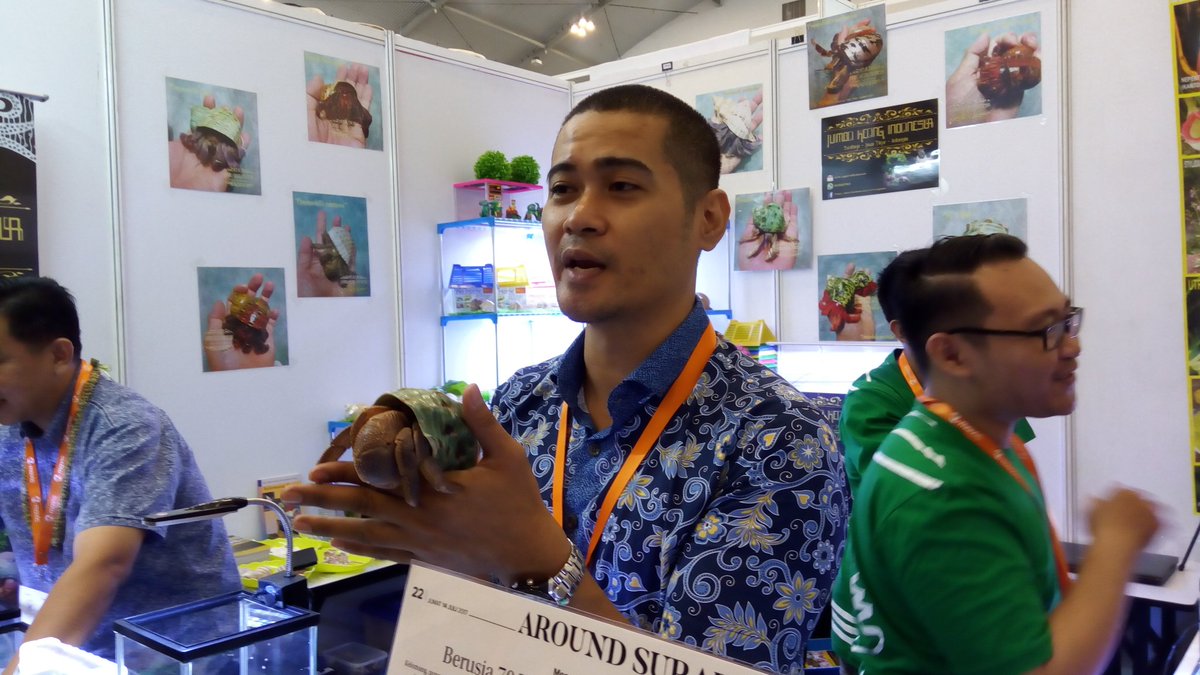 iconews_id's tweet photo. Keong Raksasa Berusia 70 Tahun Hadir di Indo Pet Expo 2017 https://t.co/AUGeEhsZYv @ICEIndonesia @ice_bsd @IndoPetExpoID https://t.co/13oBkRCgIz