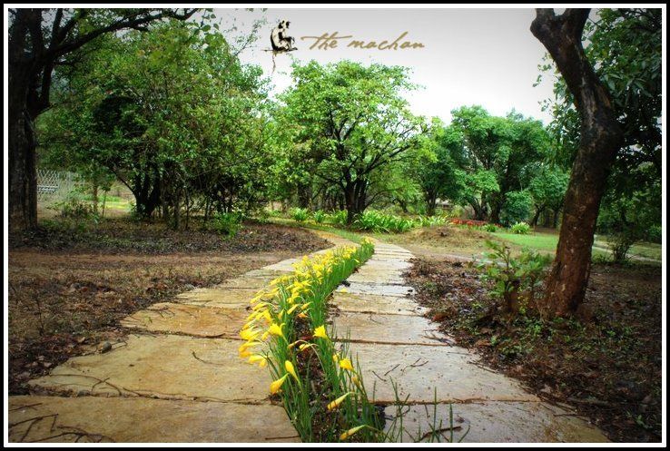 TheMachan's tweet photo. Let the #FloralPathways lead you to your #DreamDestination Getaway at #TheMachan https://t.co/hRGpKWMoZi